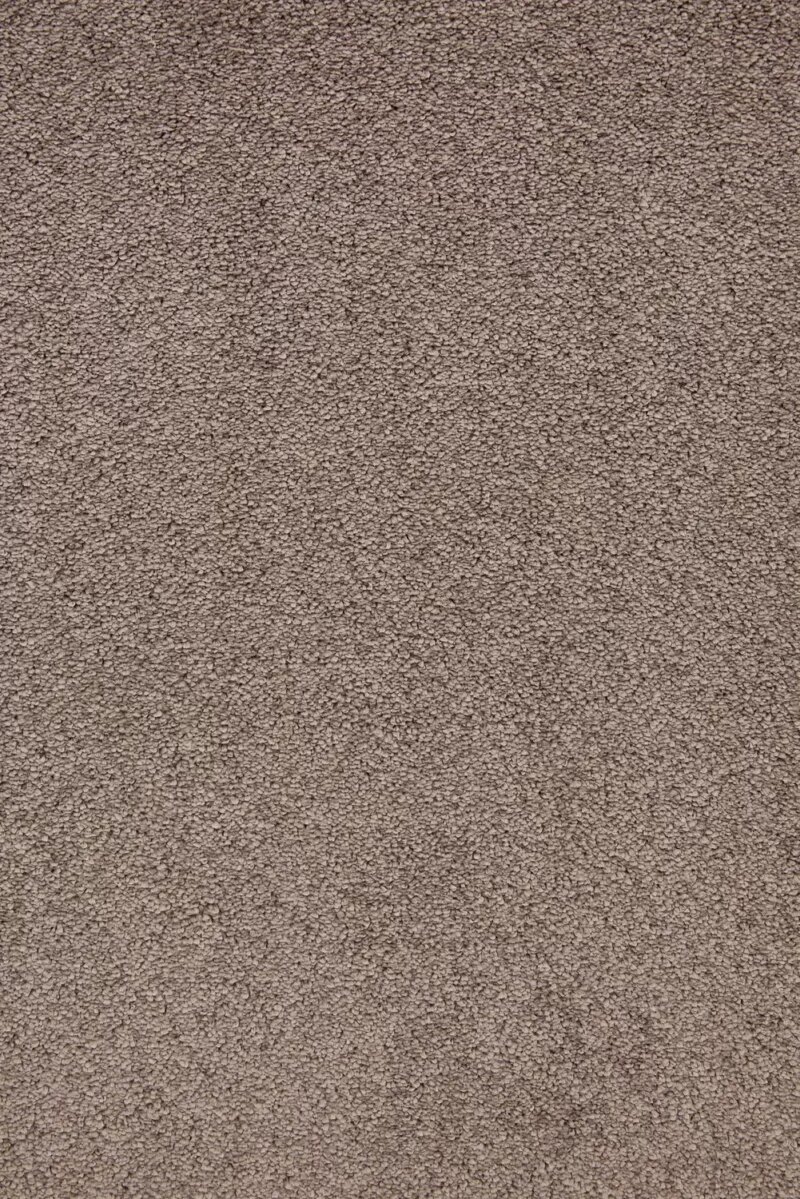 Mochetă maro ciocolatiu, saxony, uz casnic, Lily WFB 047, ITC, 400cm