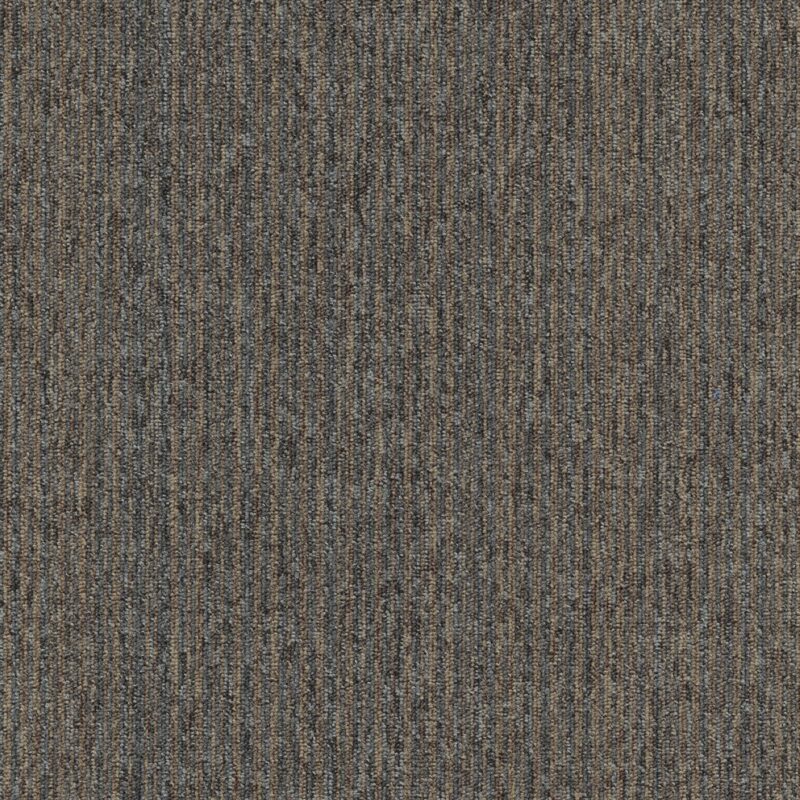 Mocheta maro buclata, trafic intens, Coral Lines 60309, Tapibel, 4 ML