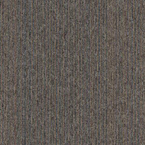Mocheta maro buclata, trafic intens, Coral Lines 60309, Tapibel, 4 ML