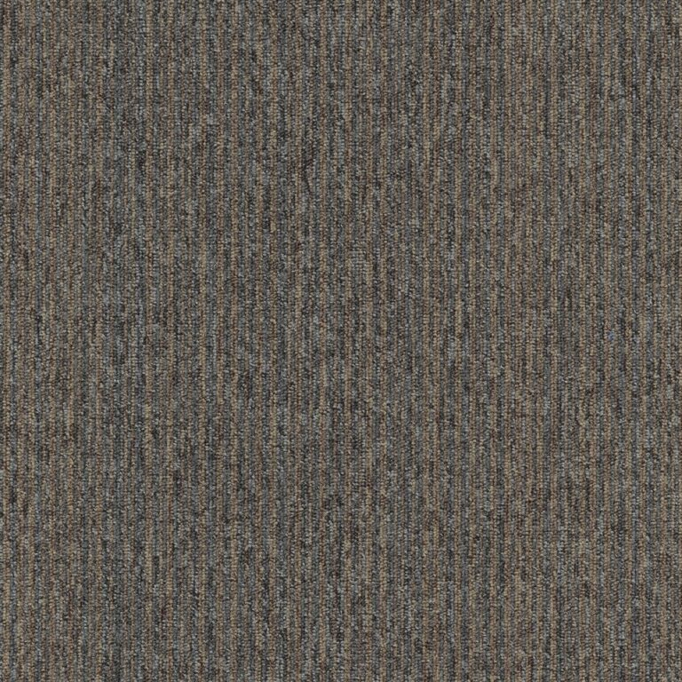 Mocheta maro buclata, trafic intens, Coral Lines 60309, Tapibel, 4 ML