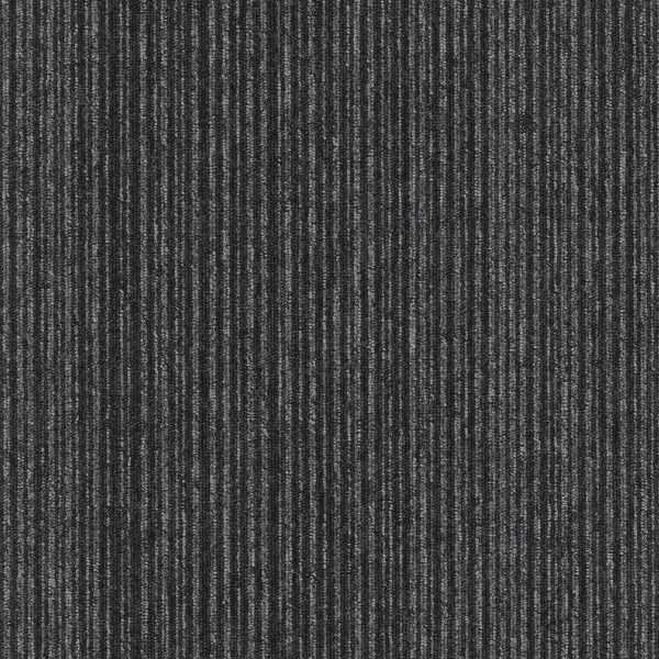 Mocheta neagra buclata, birou, Coral Lines 60340, Tapibel, 4 ML