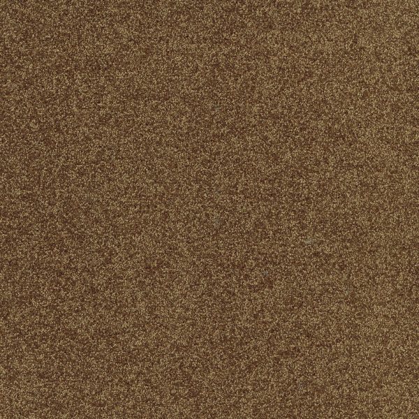 Mocheta poliamida Tapibel Diplomat, maro, 5.5 mm, 4 ML, rezistenta trafic