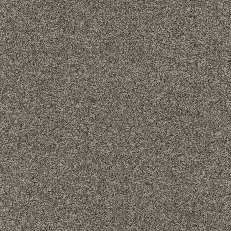 Mocheta poliamida, gri, trafic intens, Tapibel Diplomat 58541, 5.5 mm, 4 ML