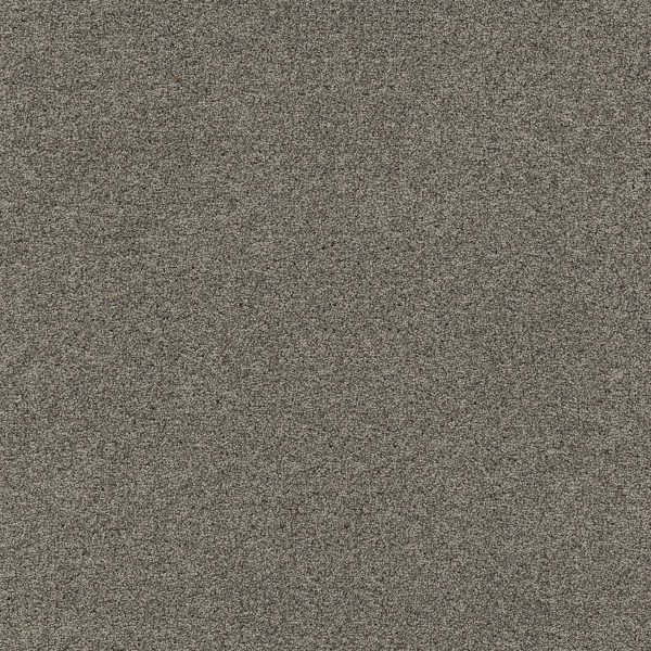 Mocheta poliamida, gri, trafic intens, Tapibel Diplomat 58541, 5.5 mm, 4 ML