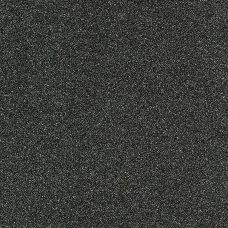 Mocheta poliamida, neagră, trafic intens, Tapibel Diplomat 58561, 5.5 mm