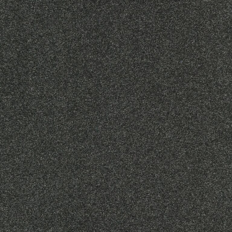 Mocheta poliamida, neagră, trafic intens, Tapibel Diplomat 58561, 5.5 mm