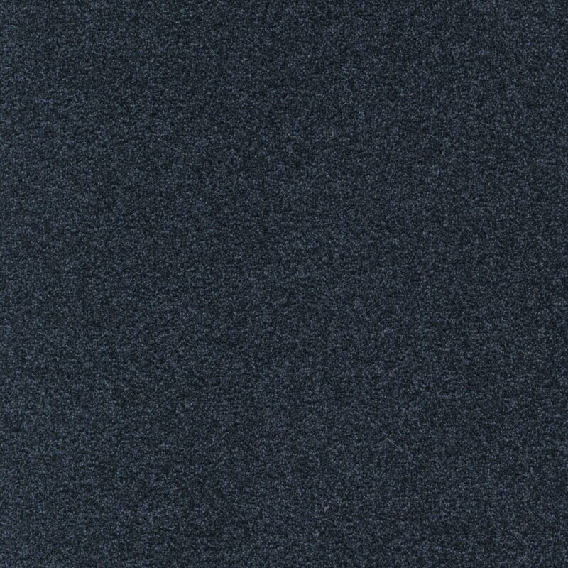 Mocheta poliamida neagra, pentru interior, Tapibel Diplomat 58560, 5.5 mm, 4 ML