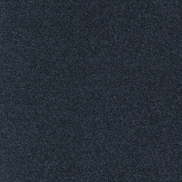 Mocheta poliamida neagra, pentru interior, Tapibel Diplomat 58560, 5.5 mm, 4 ML