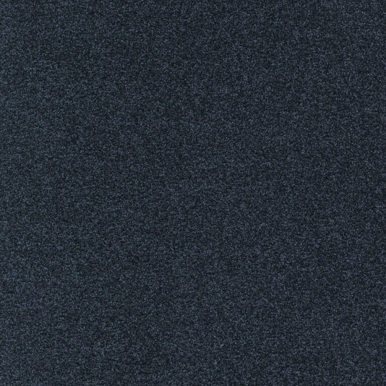 Mocheta poliamida neagra, pentru interior, Tapibel Diplomat 58560, 5.5 mm, 4 ML