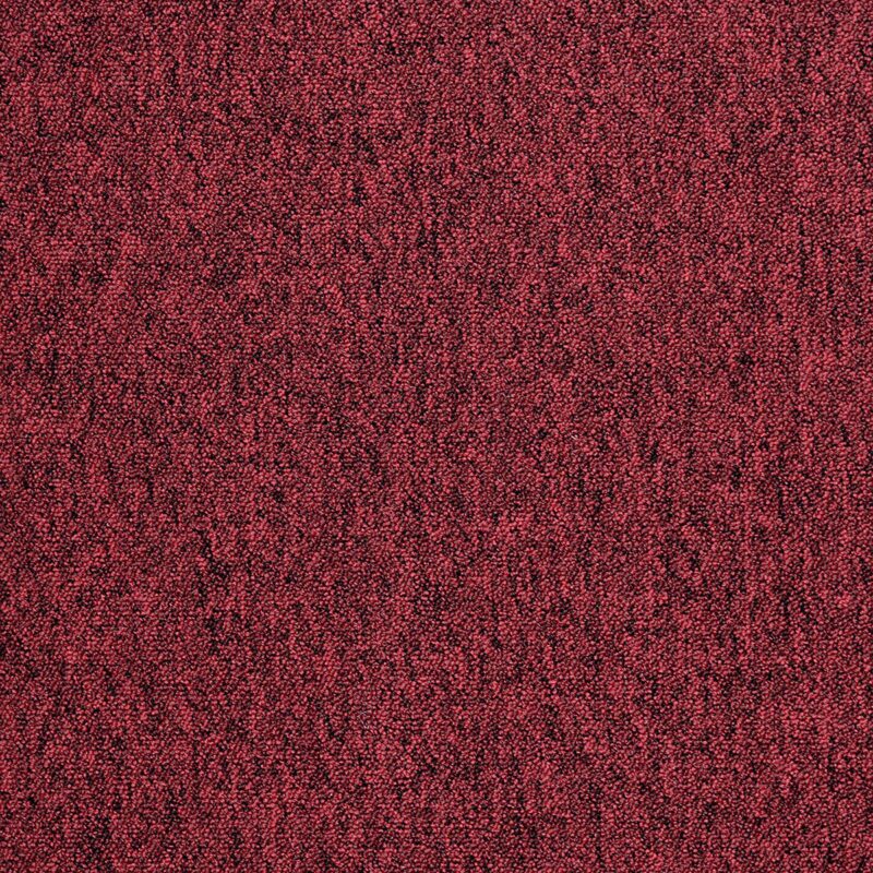 Mocheta roșie buclată Tapibel Cobalt 42380, 5.5 mm, 4 ML