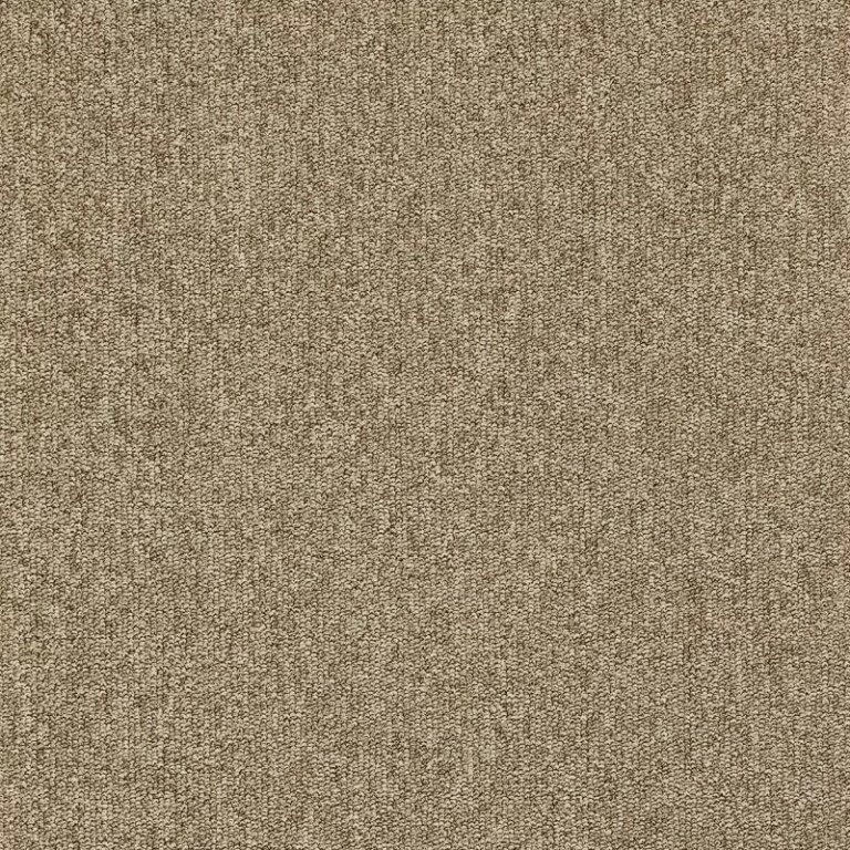 Mochetă maro, buclată comercială, Master AB 36, Balta ITC, 4ml