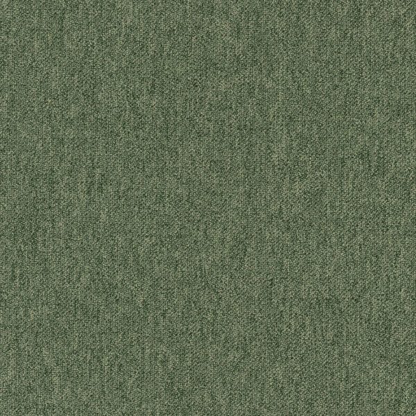 Mocheta verde buclata Tapibel Coral, birou, 5.5 mm, 4 ml, rezistenta