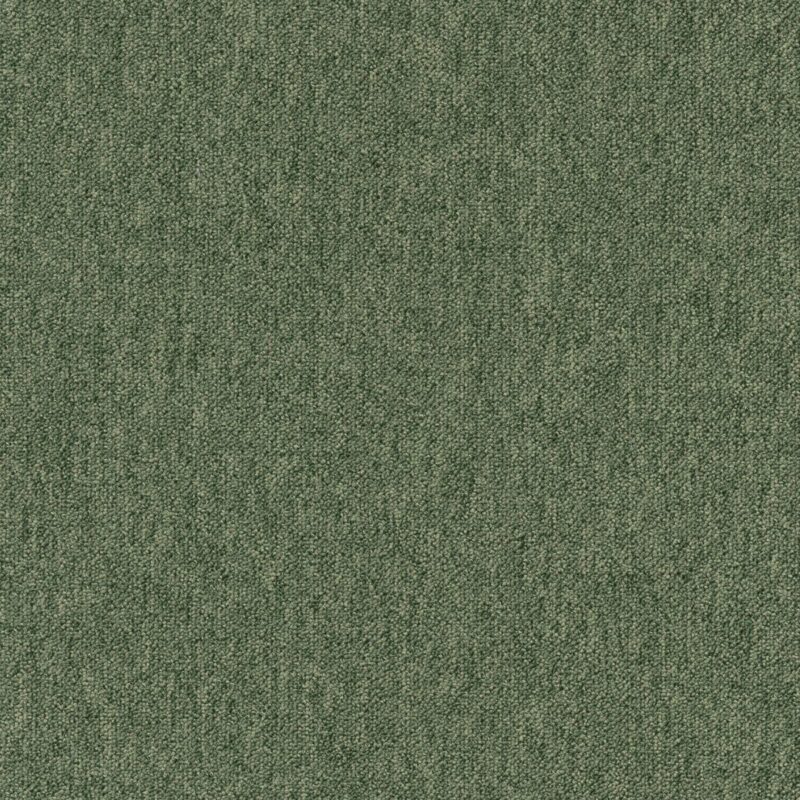 Mocheta verde buclata Tapibel Coral, birou, 5.5 mm, 4 ml, rezistenta