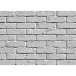 Piatra decorativa, alba, din gips tip placa Stegu Oxford 1 0.49 mp cutie