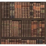 Tapet maro model dormitor cu efect 3d aspect biblioteca 1000×53 cm Crispy Paper cod 525809