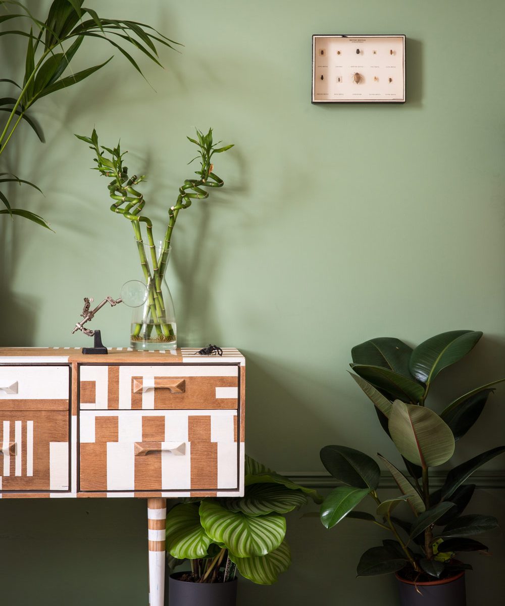 Vopsea verde mata, interior, Breakfast Room Green, Farrow & Ball No. 81, 100 ml