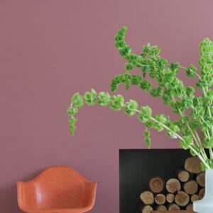 Vopsea roz satinata 20 la suta luciu pentru exterior Farrow and Ball Exterior Eggshell NHM Crimson Red No.W93 750 ml