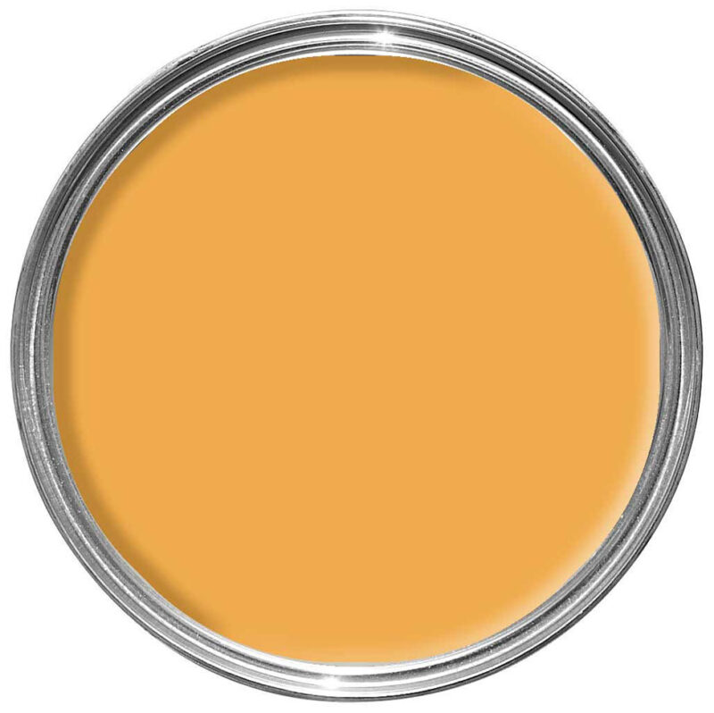 Vopsea orange satinata 20 la suta luciu pentru exterior Farrow and Ball Exterior Eggshell NHM Dutch Orange No.W76 750 ml - imagine 2