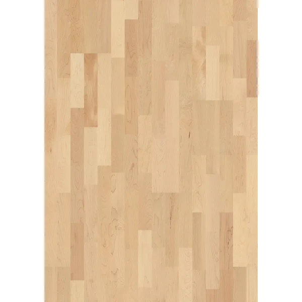 Parchet artar canadian lacuit mat 3 strip Boen Maple can. Andante 14x215x2200 mm MAGL35TD 10041686