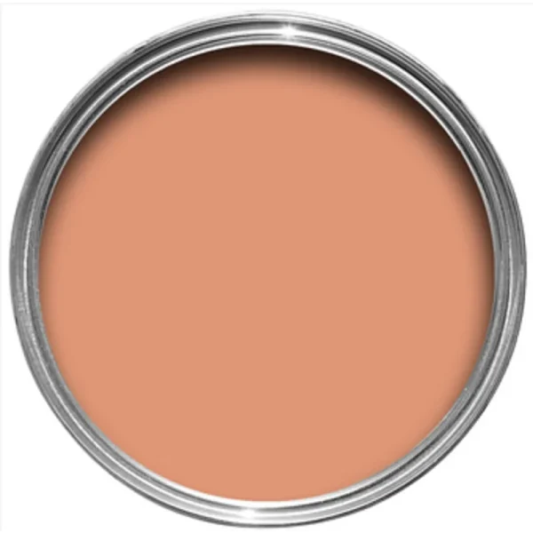 Vopsea roz mata 2 la suta luciu pentru interior Farrow and Ball Estate Emulsion Ointment Pink No. 21 2.5 Litri