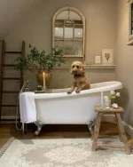 Vopsea bej mata 7 la suta luciu pentru interior Farrow and Ball Mostra Stony Ground No. 211 100 ml