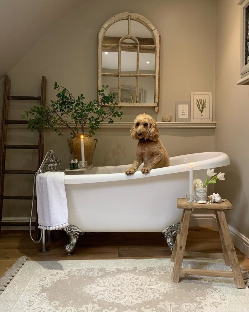 Vopsea bej satinata 20 la suta luciu pentru interior Farrow and Ball Estate Eggshell Stony Ground No. 211 750 ml - imagine 3