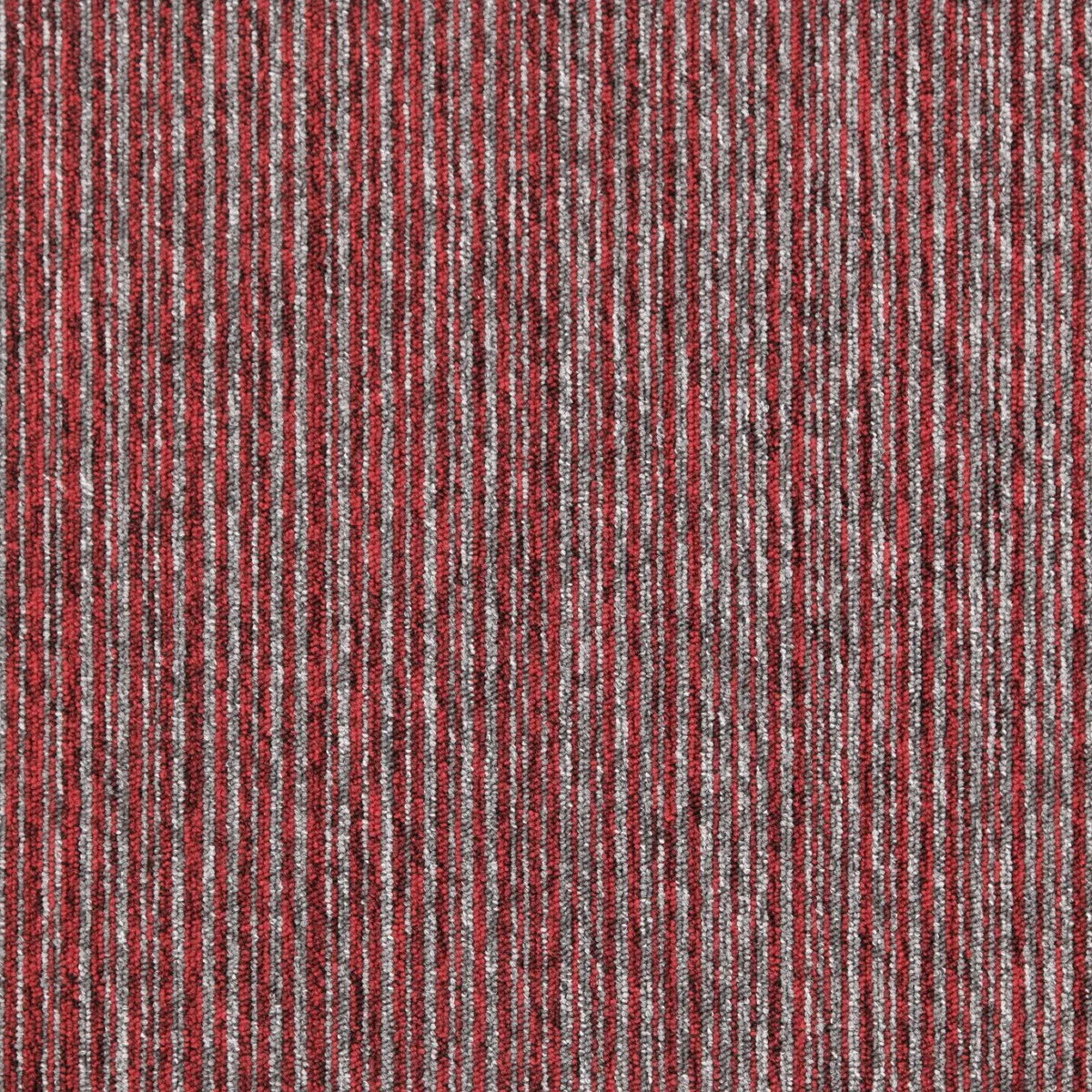 Mocheta roșie buclată, rezistentă, Tapibel Cobalt Lines 3829, 5.5 mm, 4 ML