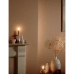 Vopsea ecologică roz mată 2 la suta luciu pentru interior Farrow  Ball DEAD FLAT Templeton Pink 303 - 5L
