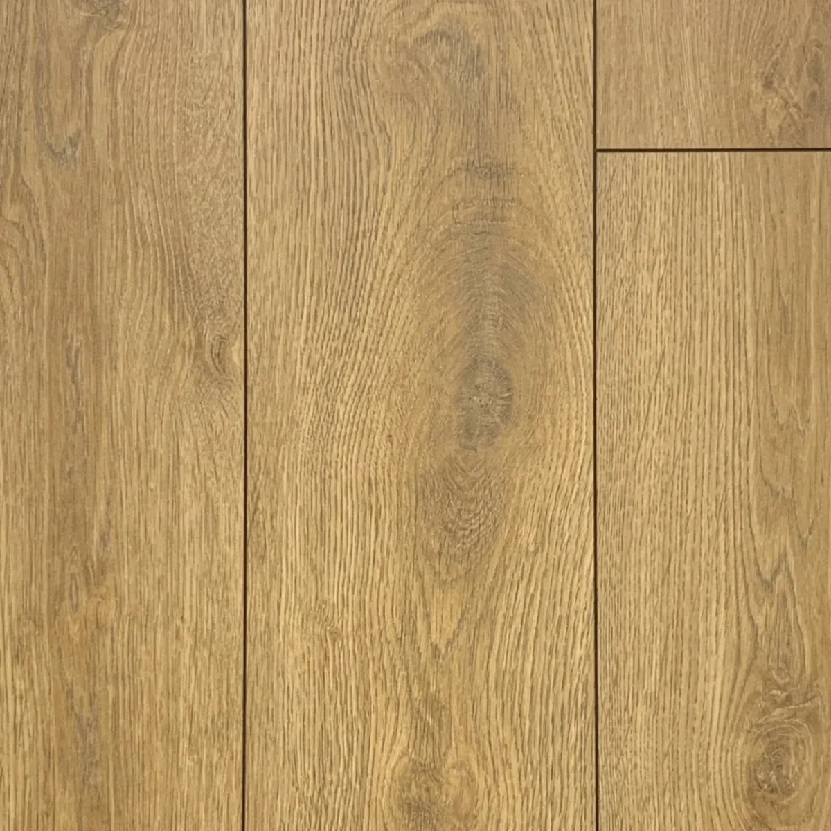 Parchet laminat stejar praline AC5, 8mm, Alsapan Osmoze 535