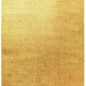 Covor pufos auriu modern model uni Payton Gold 45 mm 120x170 cm PAYT120170GOLD