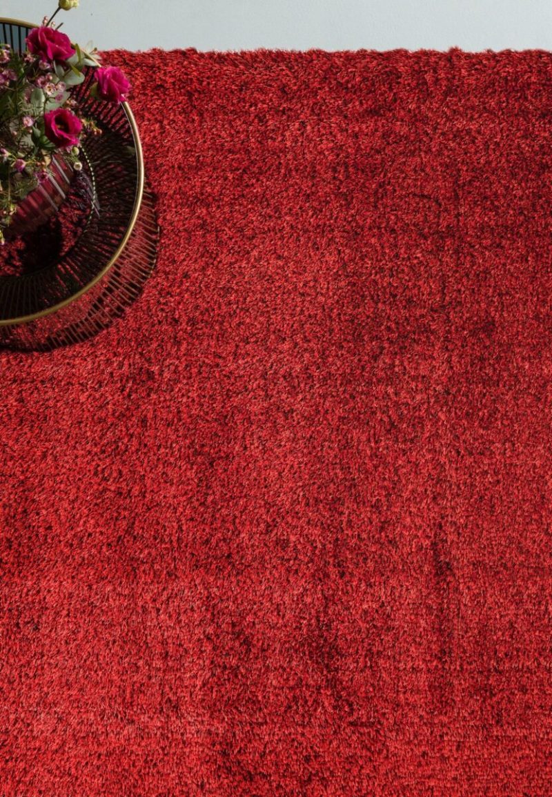 Covor pufos rosu modern model uni Payton Red 45 mm 200x290 cm PAYT200290REDD - imagine 4