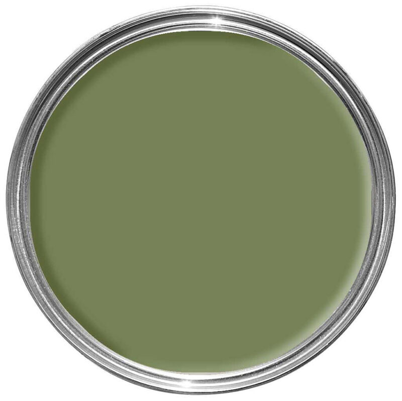 Vopsea verde satinata 20 la suta luciu pentru exterior Farrow and Ball Exterior Eggshell NHM Sap Green No.W56 2.5 Litri - imagine 2