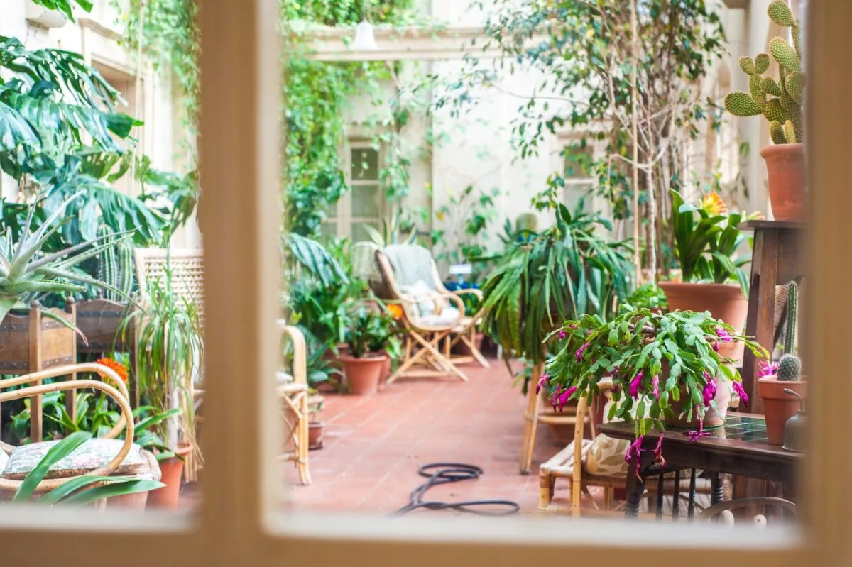 4 Tendințe în amenajarea grădinilor de balcon pe care trebuie să le cunoști