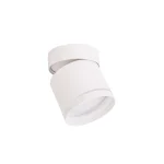 Kendal Light Prestige