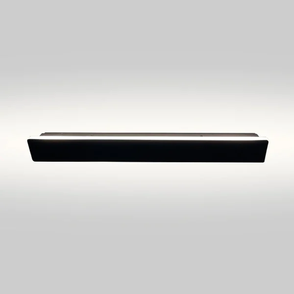 Aplica neagră 40 cm IP54 LED CCT