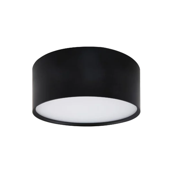 Plafonieră aplicată neagră IP54 LED CCT