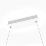 dimensiune S