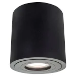 Plafonieră aplicată neagră, dimensiune XL, design modern, Faro Light Prestige