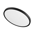 Plafonieră neagră 30 cm, LED CCT, formă rotundă, California Light Prestige