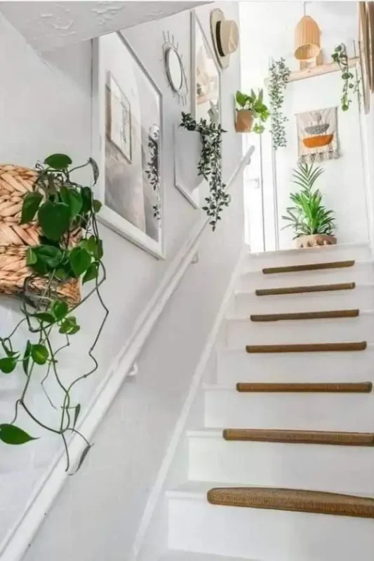 Decorațiuni Naturale pentru Holurile de Intrare Decorațiuni Naturale pentru Holurile de Intrare