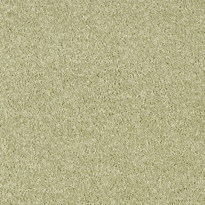 Mochetă verde deschis, Rio Grande 24, AW, 4ml