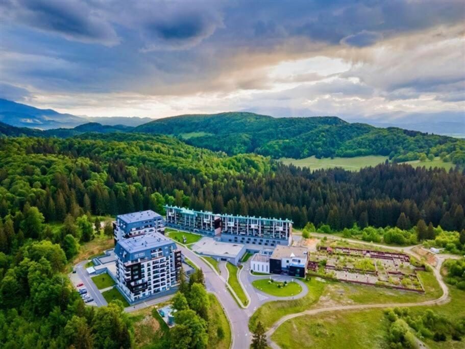 Colaborările ePardoseli cu Designeri și Arhitecți - O Viziune Comună pentru Transformarea Spațiilor Colaborările ePardoseli cu Designeri și Arhitecți - O Viziune Comună pentru Transformarea Spațiilor