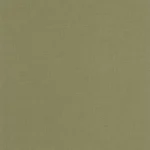 creând un fundal relaxant cu nuanța Vert pinede pentru spații moderne și armonioase.